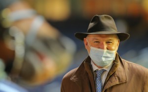 David Hayes looks over one of his winners at Happy Valley this season. Photos: Kenneth Chan