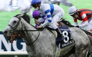 Japanese raider Normcore wins the Hong Kong Cup in December. Photos: Kenneth Chan