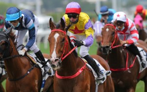 Antoine Hamelin lifts Ping Hai Bravo to victory at Sha Tin on Sunday. Photos: Kenneth Chan