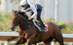 Chad Schofield trials Panfield at Sha Tin on Friday morning. Photos: Kenneth Chan