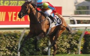 Wellington dashes clear to win in Class Two last start. Photos: Kenneth Chan