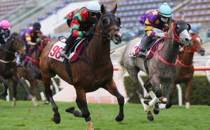 Douglas Whyte’s Russian Emperor trials at Sha Tin last week. Photos: Kenneth Chan