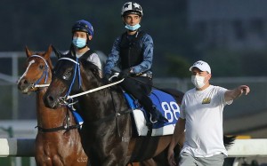 Caspar Fownes with Sky Darci, ridden by Joao Moreira on Thursday morning. Photos: Kenneth Chan