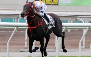 Courier Wonder makes a mess of his rivals at Sha Tin on Sunday. Photos: Kenneth Chan