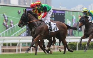Tony Piccone pilots rank outsider Cordyceps Six to victory at Sha Tin on Sunday. Photos: Kenneth Chan
