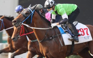 Joao Moreira trials Killer Bee at Sha Tin last month. Photos: Kenneth Chan