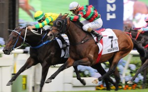 Russian Emperor (right) finishes second to Sky Darci in the Hong Kong Derby. Photos: Kenneth Chan