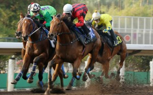 Karis Teetan wins a barrier trial with Divine Era. Photos: Kenneth Chan