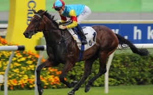 Chad Schofield makes it four from four aboard Fantastic Treasure earlier this month. Photo: Kenneth Chan