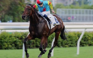 Chad Schofield drives Fantastic Treasure to victory at Sha Tin on Sunday. Photos: Kenneth Chan