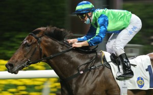 Spontaneous salutes under Zac Purton at Happy Valley last month. Photos: Kenneth Chan