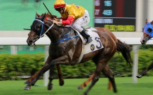 Columbus County salutes at Sha Tin last season. Photo: Kenneth Chan