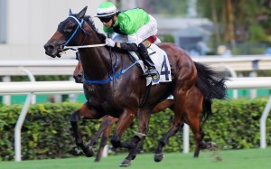 Joao Moreira pilots Killer Bee to victory at Sha Tin on Sunday. Photos: Kenneth Chan