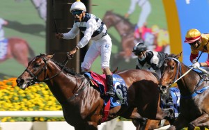 An ecstatic Karis Teetan wins the Champions & Chater Cup aboard Panfield. Photos: Kenneth Chan