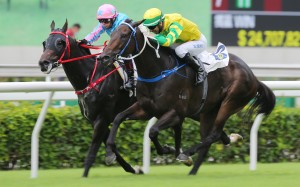 Sky Darci (outside) holds off Healthy Happy to win the Lion Rock Trophy. Photos: Kenneth Chan