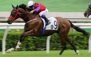 Matthew Poon drives Enzemble to victory at Sha Tin on Sunday. Photo: Kenneth Chan
