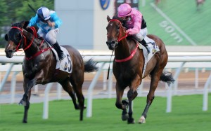 Beauty Fit (pink and black silks) looms up before going on to salute at Sha Tin on May 16. Photos: Kenneth Chan