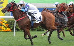 Can Zone D do the right thing by Triple Trio players and continue his consistent run at Sha Tin on Sunday? Photo: Kenneth Chan