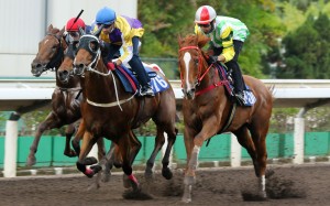 Joao Moreira guides Blaze Warrior to victory in a barrier trial last month. Photos: Kenneth Chan