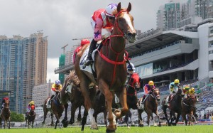 Drops Of God salutes at Sha Tin last month. Photo: Kenneth Chan