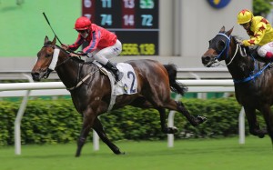 Victory Scholars hangs on to win at Sha Tin on Saturday. Photos: Kenneth Chan
