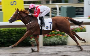 Joao Moreira partners the Francis Lui-trained Super Fast to victory at Sha Tin on Saturday. Photo: Kenneth Chan