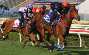 Karis Teetan rides Ian in a barrier trial at Sha Tin in October 2020. Photo: Kenneth Chan
