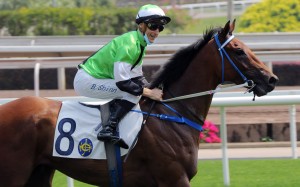 Blake Shinn is all smiles after a winner this season. Photos: Kenneth Chan