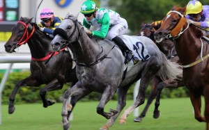 Jerry Chau guides Mister Snowdon to victory at Sha Tin on Sunday. Photos: Kenneth Chan