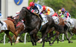 Vincent Ho lifts Naboo Attack to victory at Sha Tin in May. Photos: Kenneth Chan
