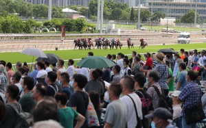 Punters watch on as the field for race five charges down the home straight at Sha Tin on Sunday. Photos: Kenneth Chan