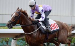 Blake Shinn pilots Lord Thunder home in a barrier trial earlier this month. Photos: Kenneth Chan
