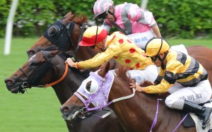 Chad Schofield urges Gold Chest (centre) to victory last season. Photos: Kenneth Chan
