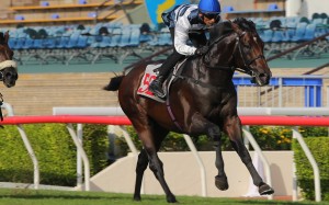 Panfield salutes in a trial at Sha Tin on Tuesday morning. Photos: Kenneth Chan