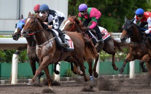 Zac Purton trials Master Aqua on the all-weather track earlier this month. Photos: Kenneth Chan