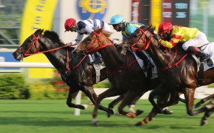 Packing Victory defeats impressive debutants Five Elements and Master Delight. Photos: Kenneth Chan