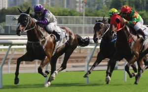 Matthew Chadwick drives Buddies to victory in the Group Three Celebration Cup at Sha Tin on Sunday. Photos: Kenneth Chan