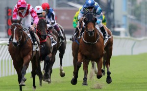 Zac Purton steers Lucky Patch home in Sunday’s Group Two Premier Bowl at Sha Tin. Photos: Kenneth Chan