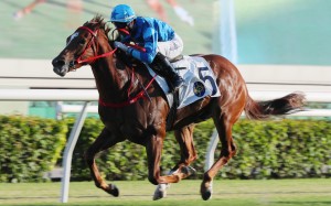 Joao Moreira partners Master Eight to victory at Sha Tin on Sunday. Photos: Kenneth Chan