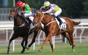 Highland Fortune (inside) holds out Californiadeepshot in a willing battle down the Sha Tin straight. Photos: Kenneth Chan