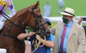 David Hayes with Lord Thunder after a victory. Photos: Kenneth Chan