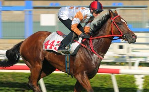 Zac Purton trials Ennea Fortune in September. Photos: Kenneth Chan