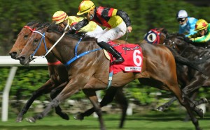 Zebrowski (outside) wins under Vincent Ho at Happy Valley on Wednesday night. Photos: Kenneth Chan