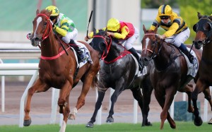 Joao Moreira guides Blaze Warrior to victory in July. Photo: Kenneth Chan