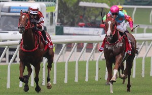 Vagner Borges lifts Sight Success to victory at Happy Valley last start. Photos: Kenneth Chan