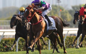 Excellent Proposal wins the Classic Mile in January. Photos: Kenneth Chan