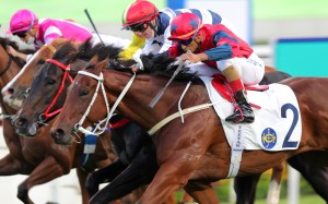 Karis Teetan drives home The Golden Scenery, edging out Zac Purton and Packing Victory. Photos: Kenneth Chan