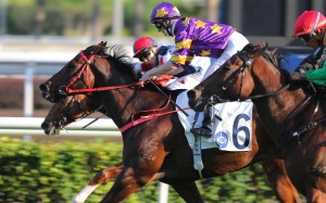 Zac Purton guides Lucky Express to victory in the Class One Panasonic Cup at Sha Tin on Saturday. Photos: Kenneth Chan