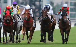 Panfield (blue and white cap) wins the Sha Tin Trophy last month. Photos: Kenneth Chan