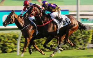 Lucky Express wins the Panasonic Cup earlier this month. Photos: Kenneth Chan